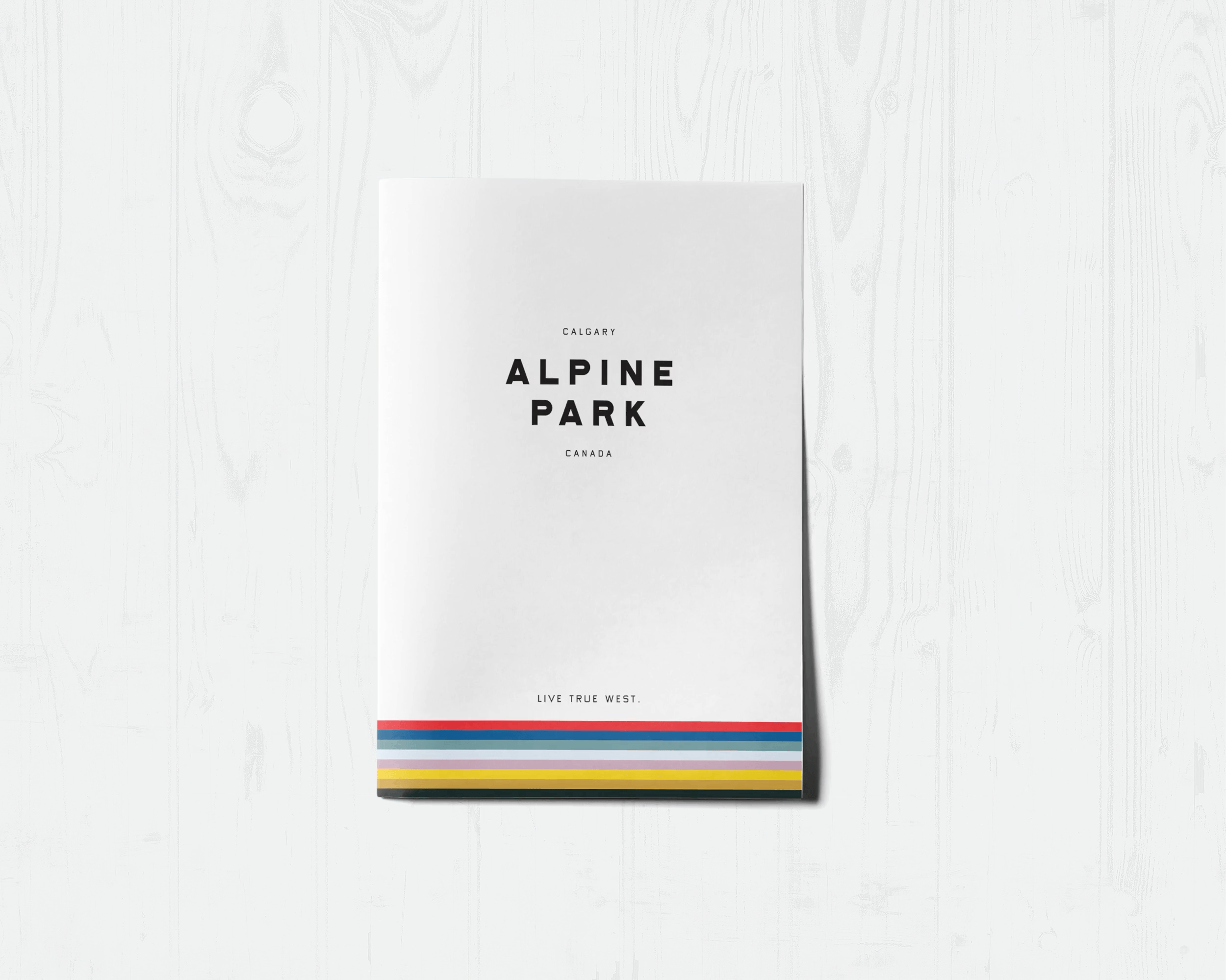 Alpine Park direct mailer