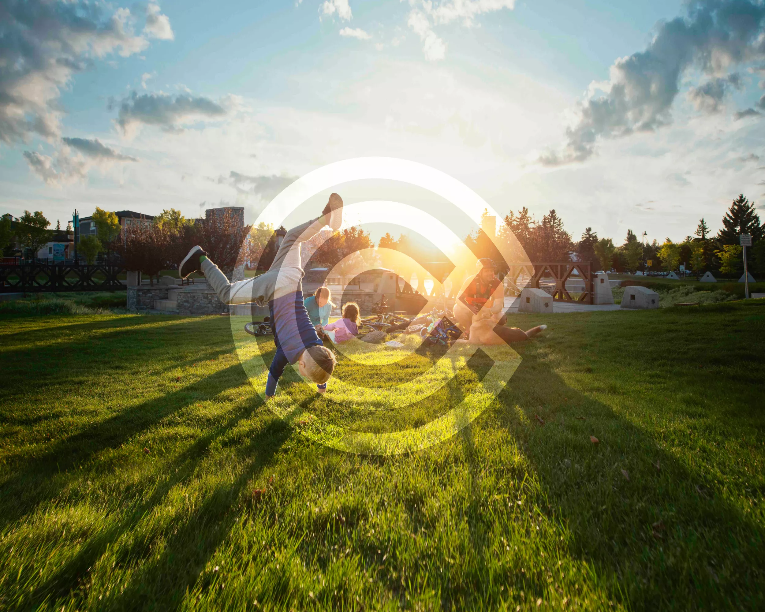 Currie Case Study Cover