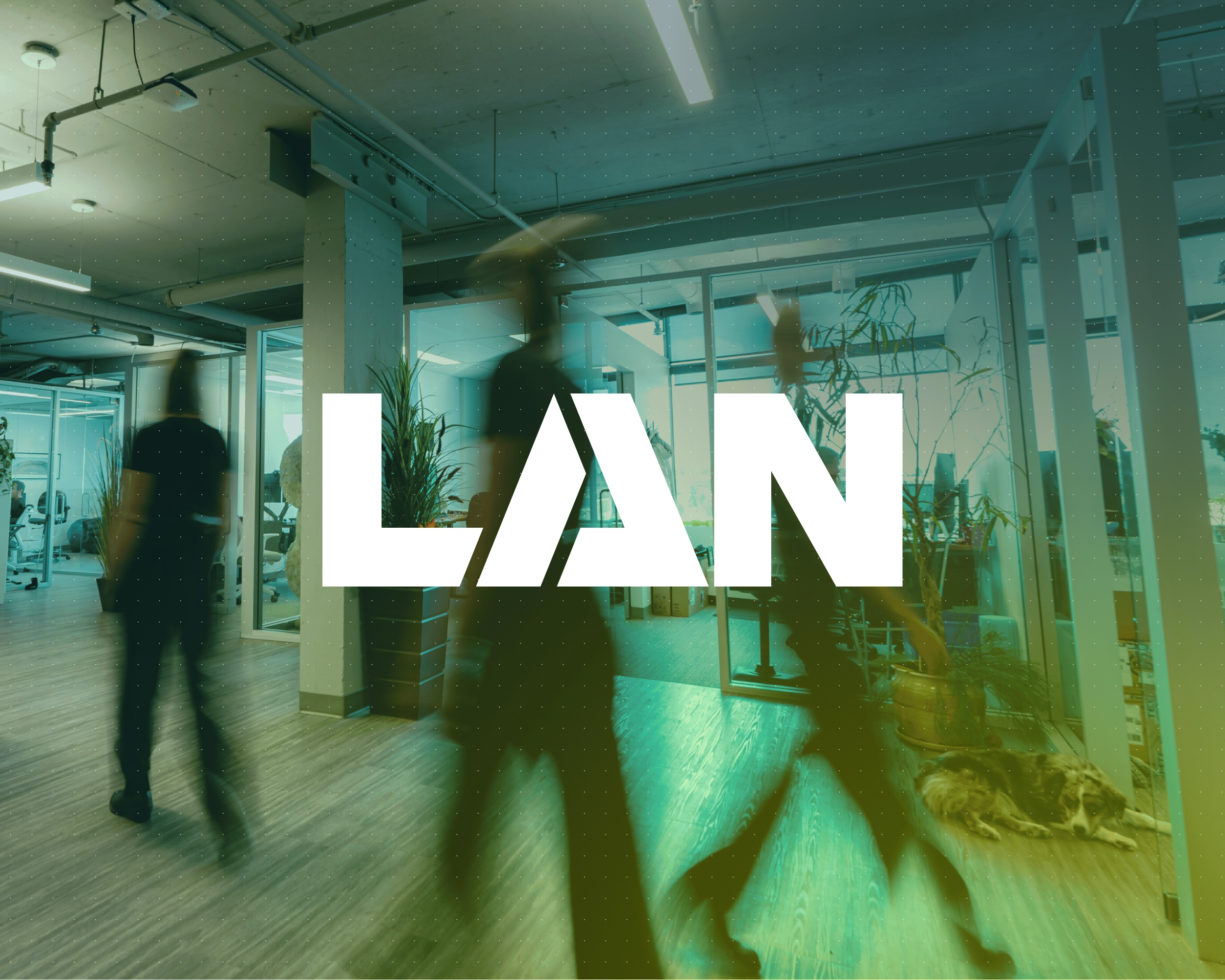LAN - Website Case Study - Logo