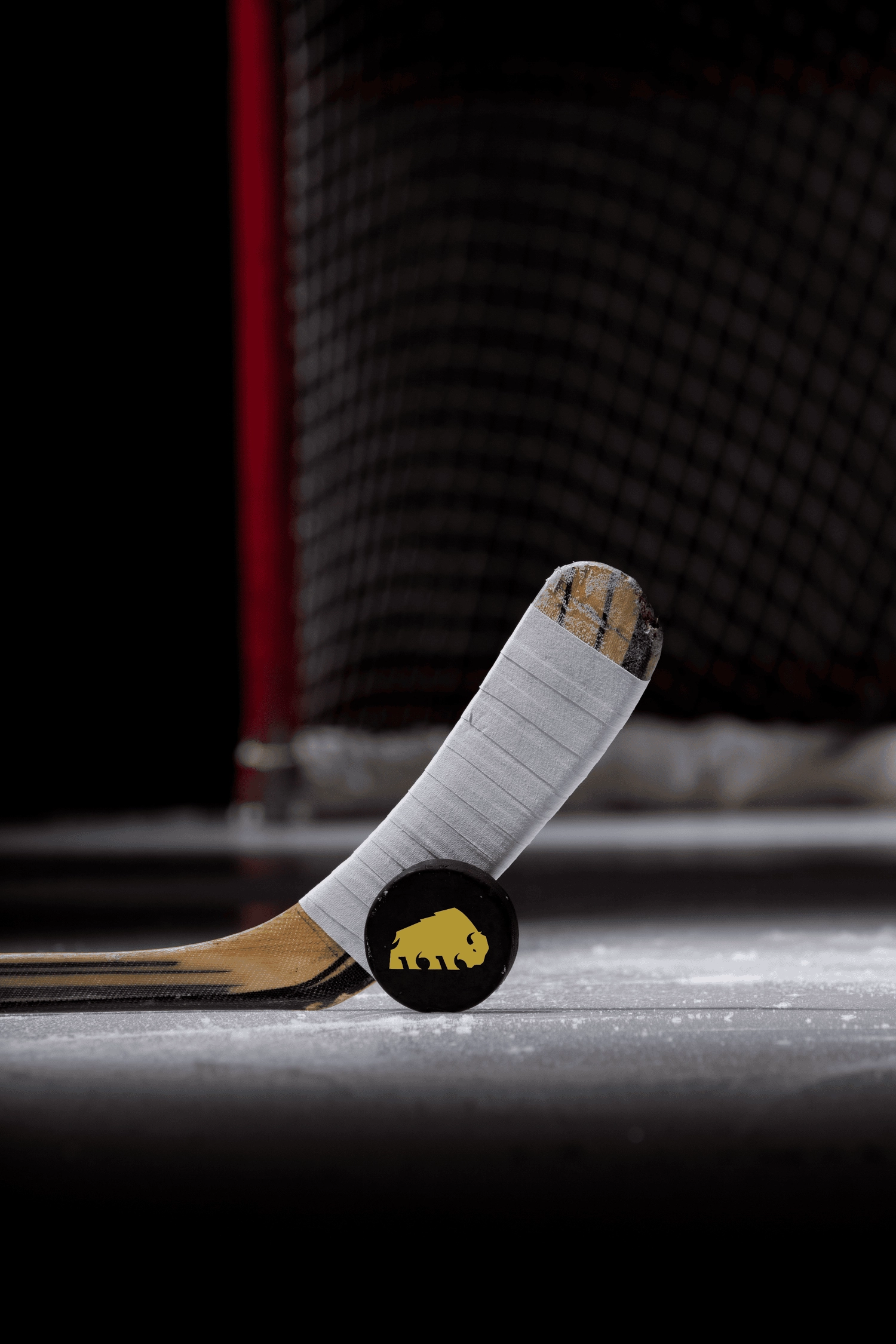 1616 - Website Case Study - Buffalo Sign